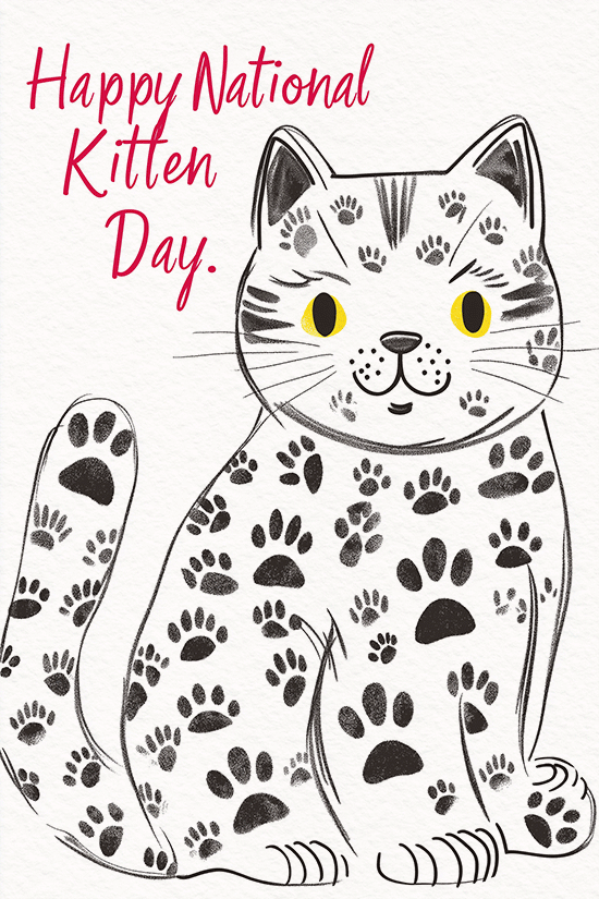 Pawprint Kitten ecard