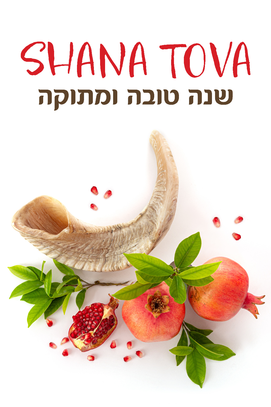 Shofar & Pomegranates  ecard